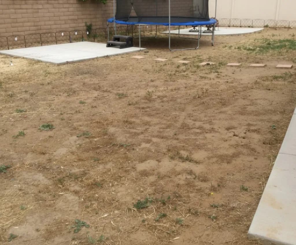 Step 1: Remove Grass