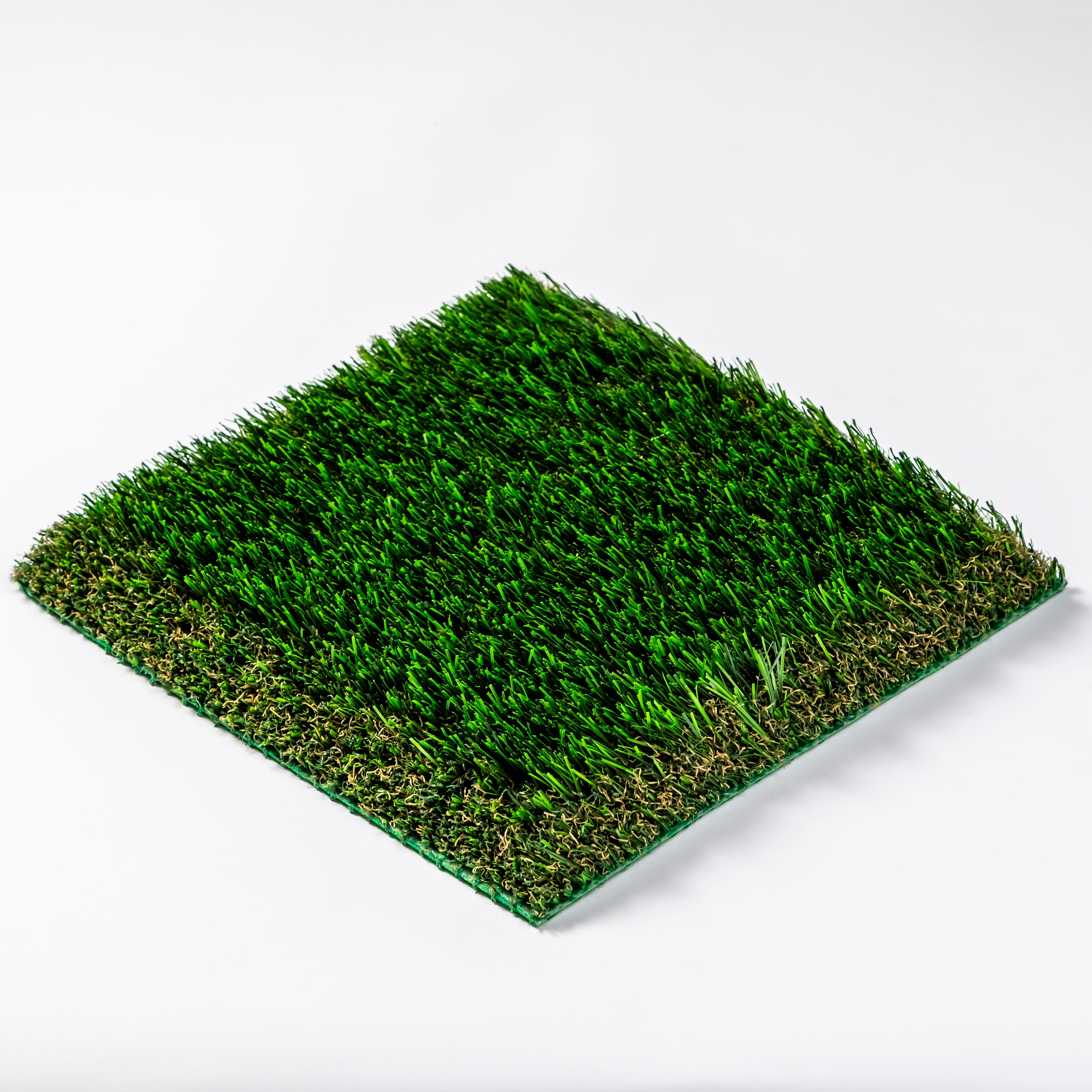 Bermuda 87 Pet view 3