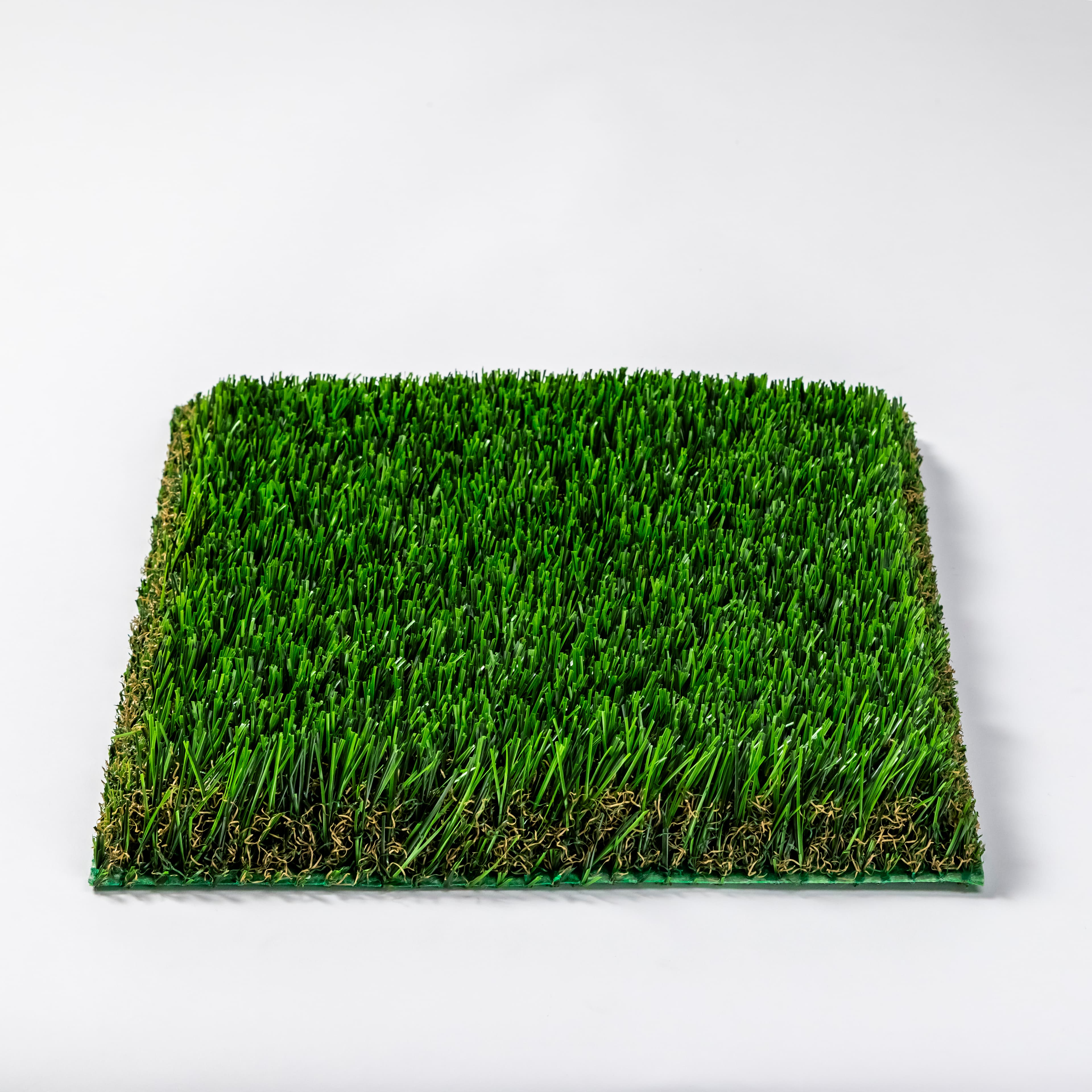 Bermuda 87 Pet view 4