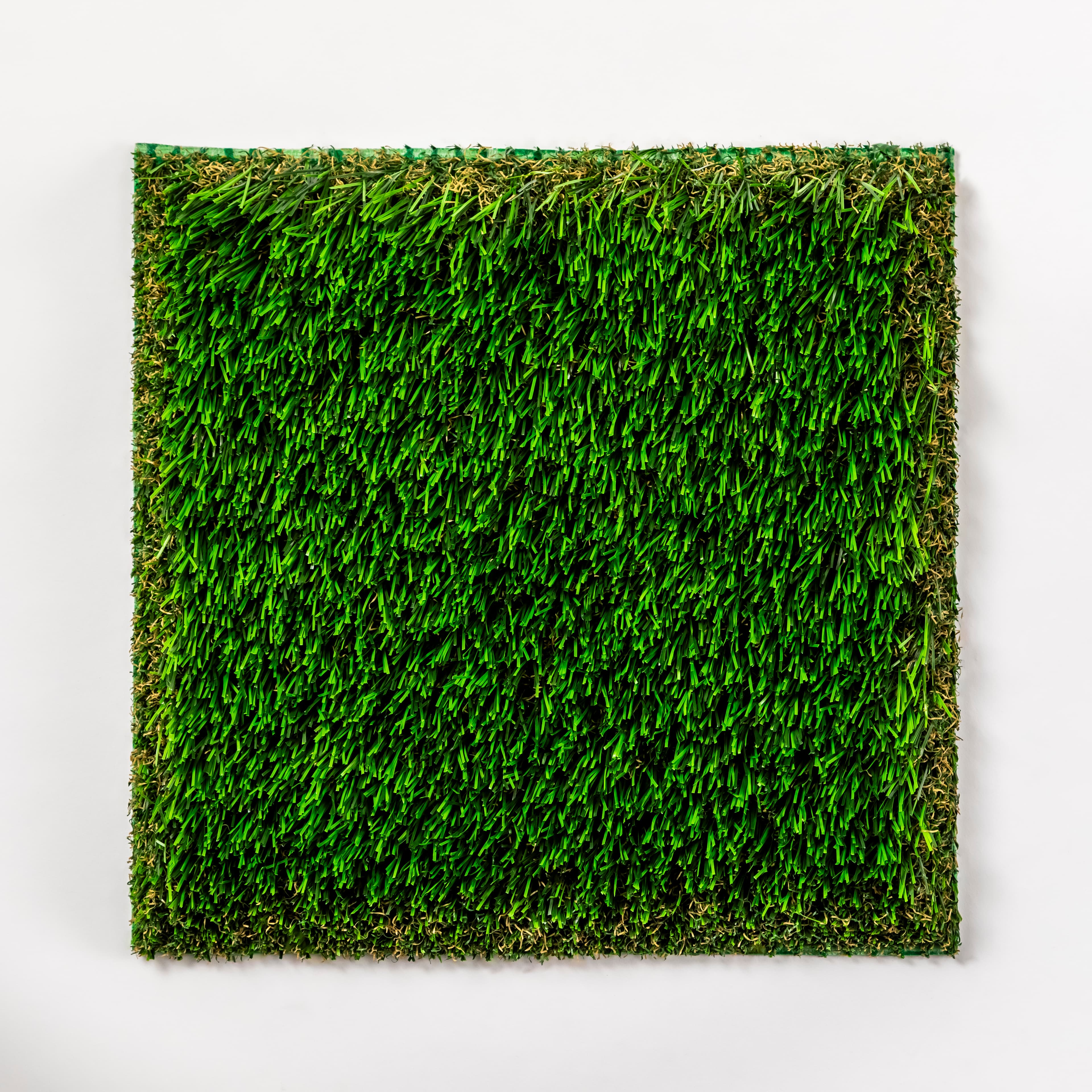 Bermuda 87 Pet view 2