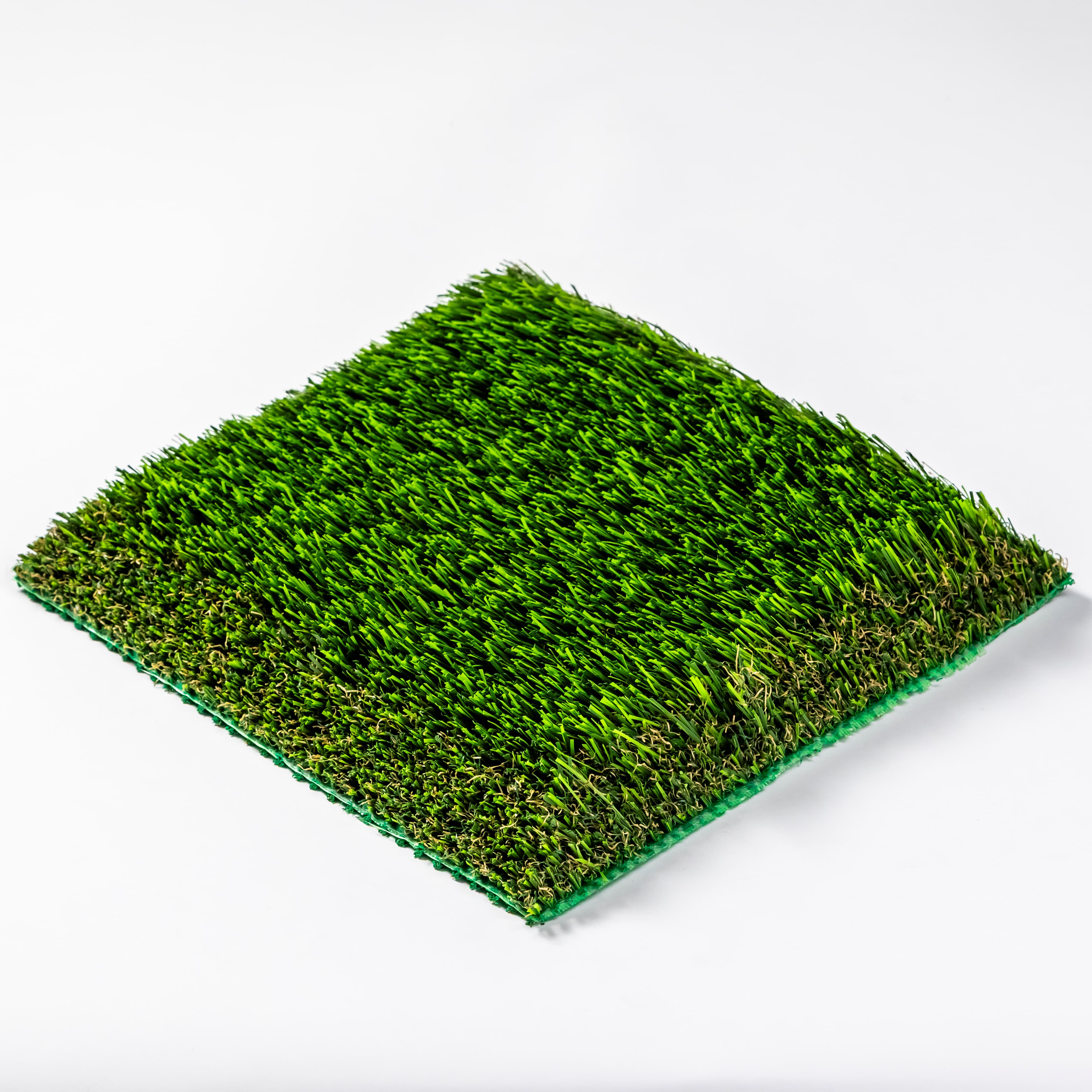 Bermuda 93 Pet view 3