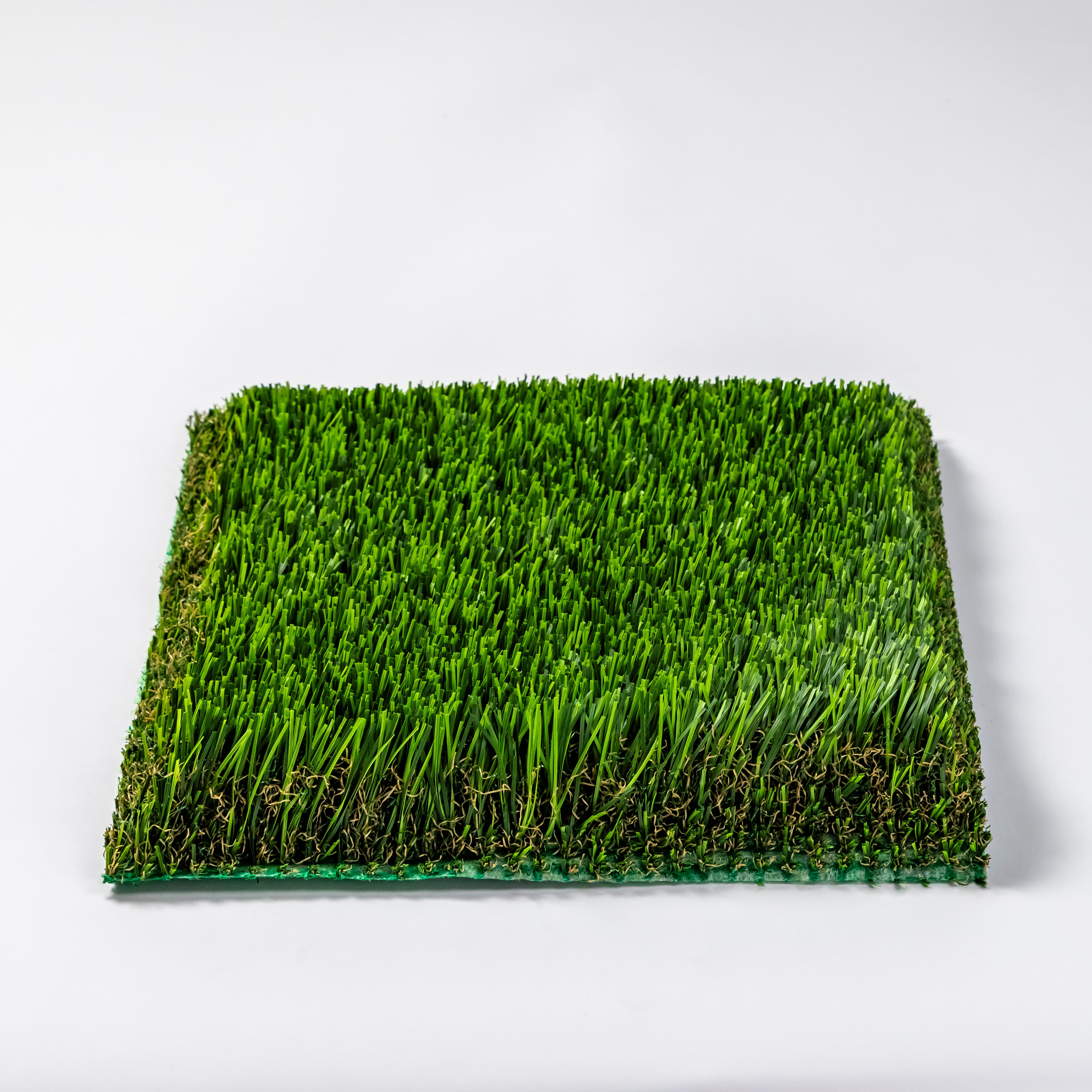 Bermuda 93 Pet view 4