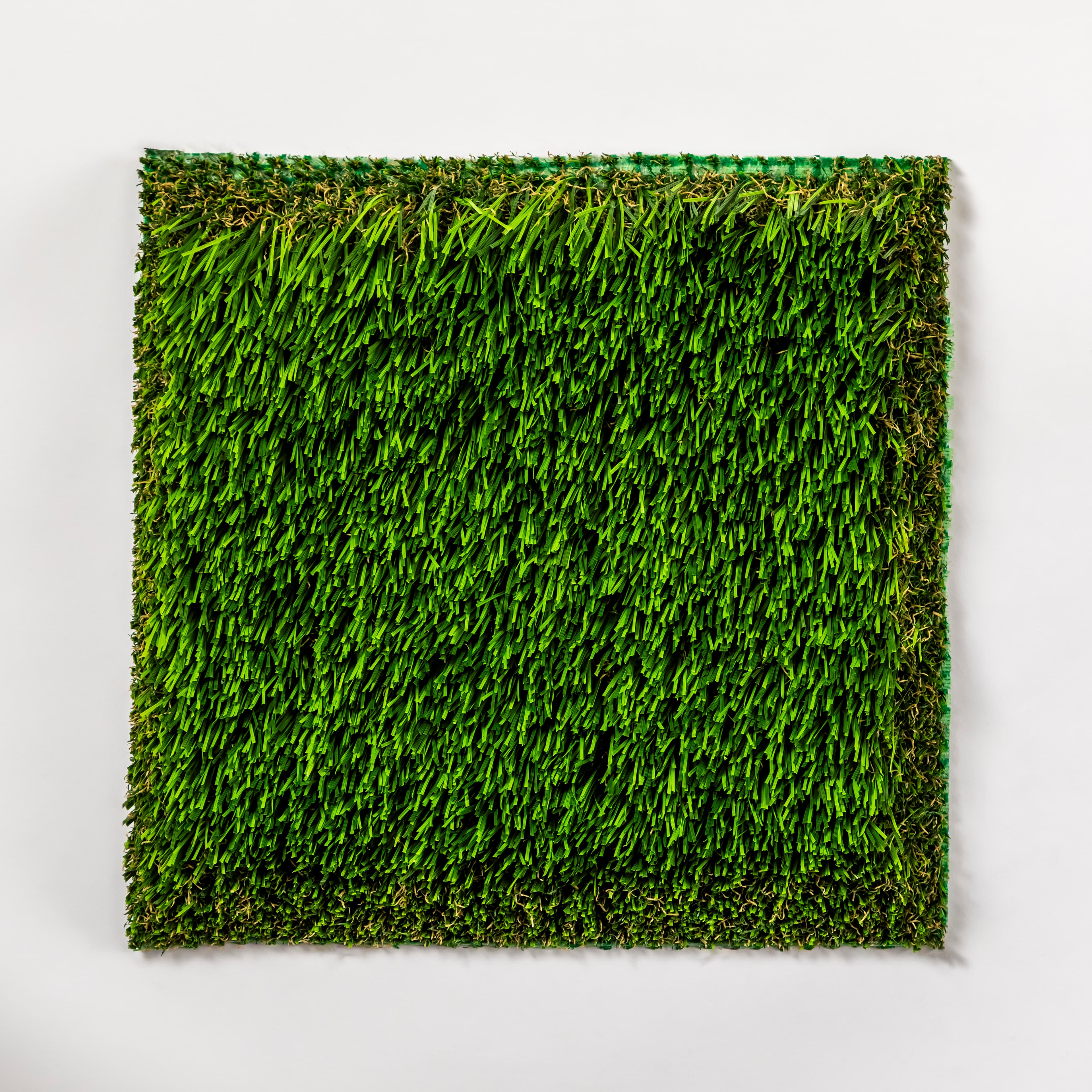 Bermuda 93 Pet view 2