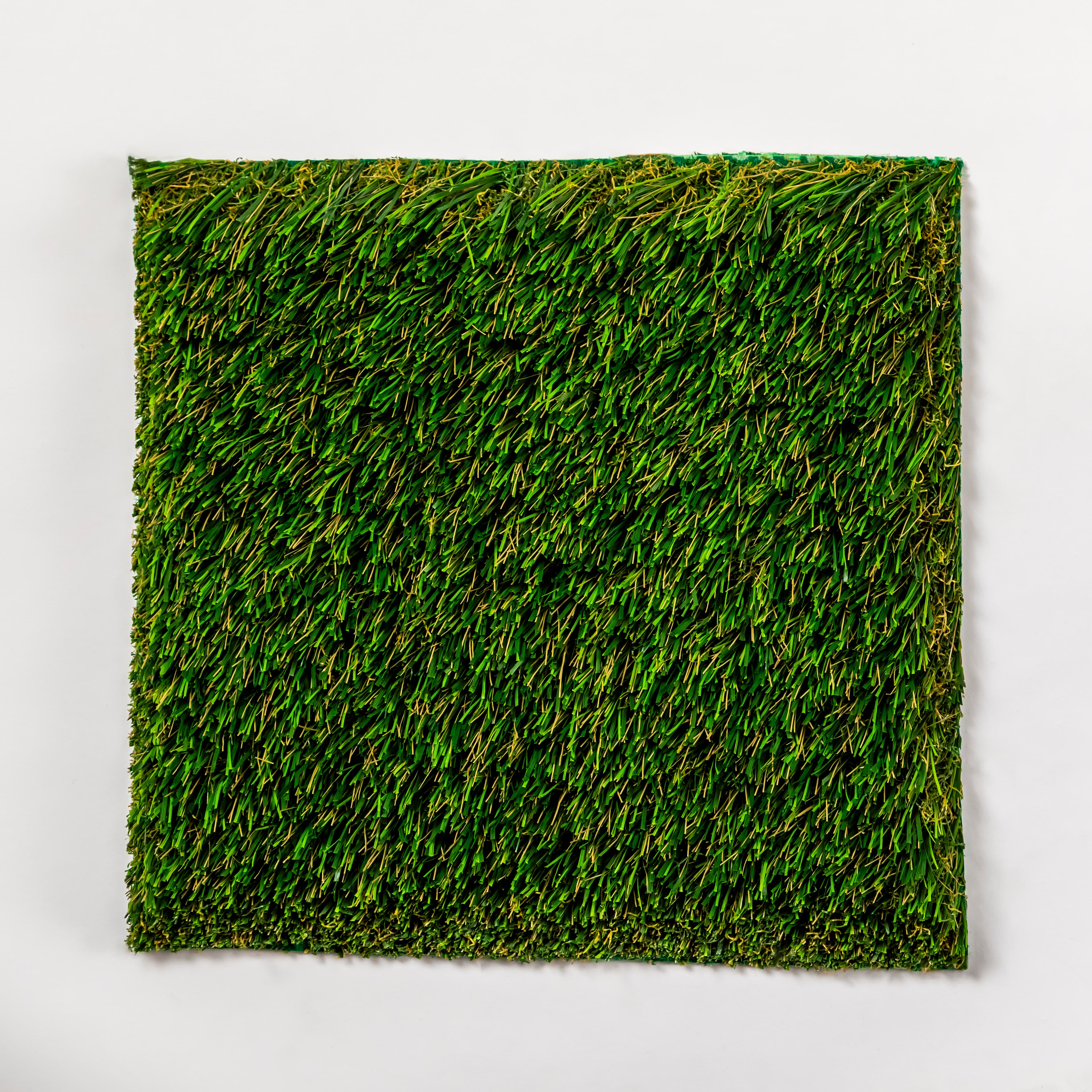 Natural 93 Pet view 2