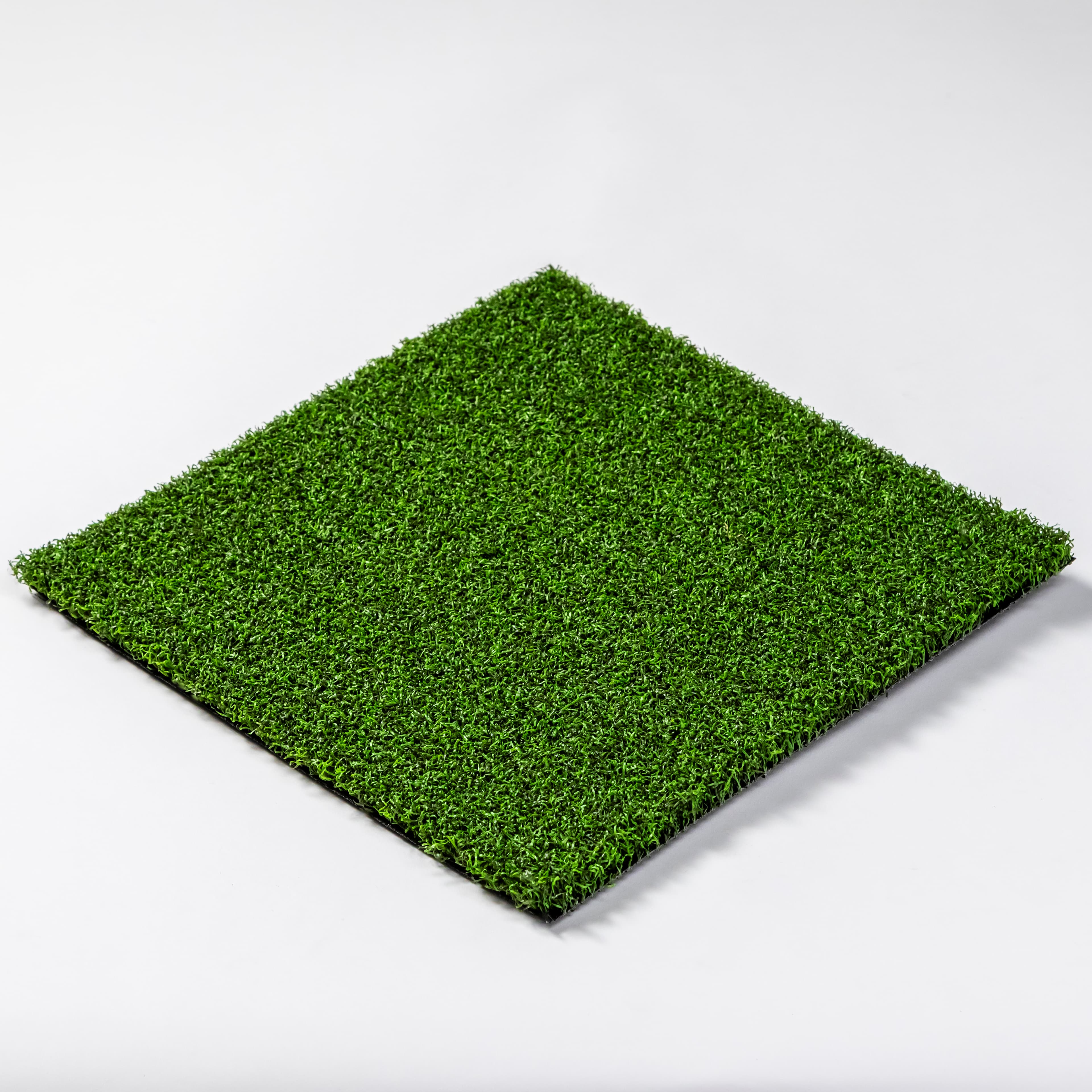 Pro Putt Green view 3