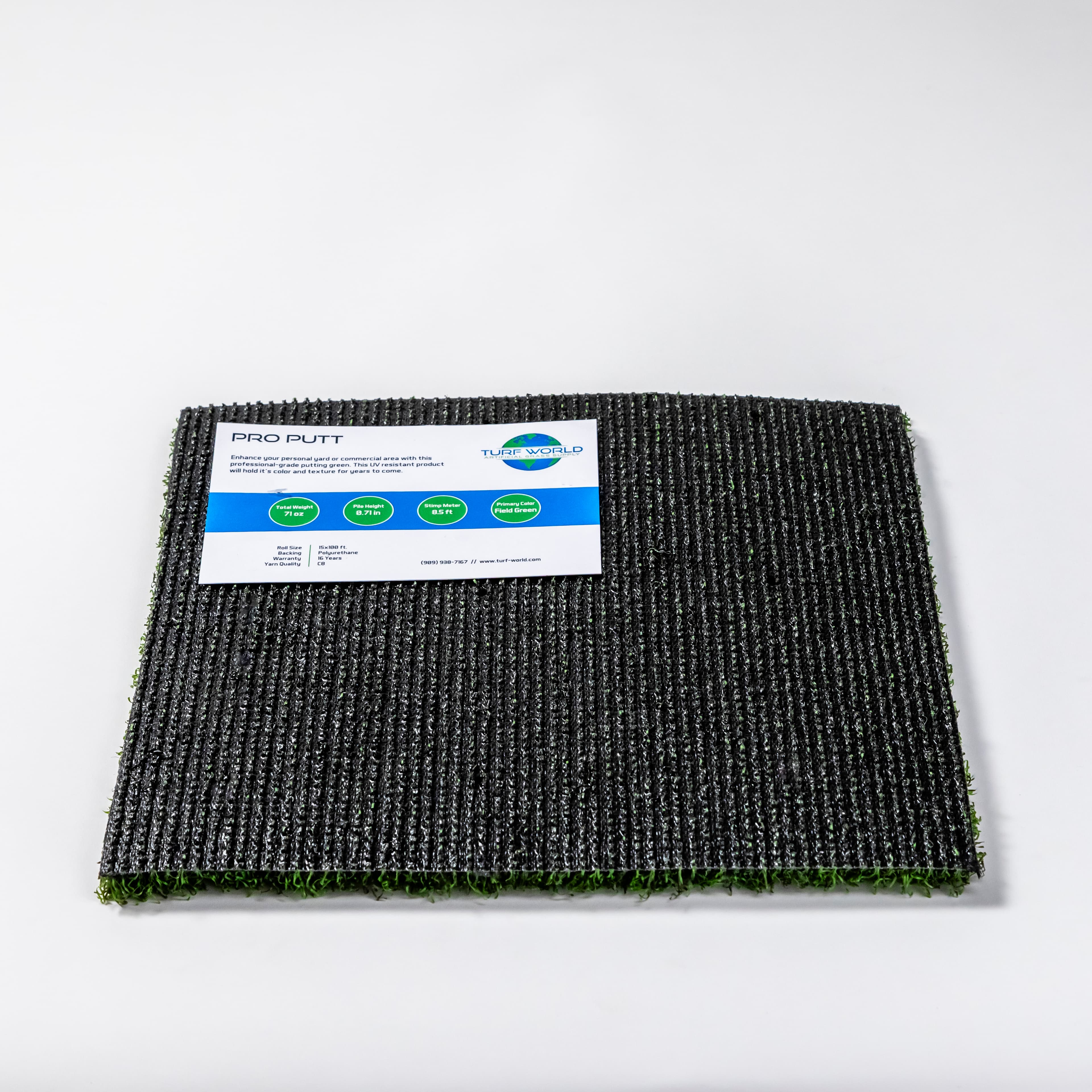 Pro Putt Green view 4