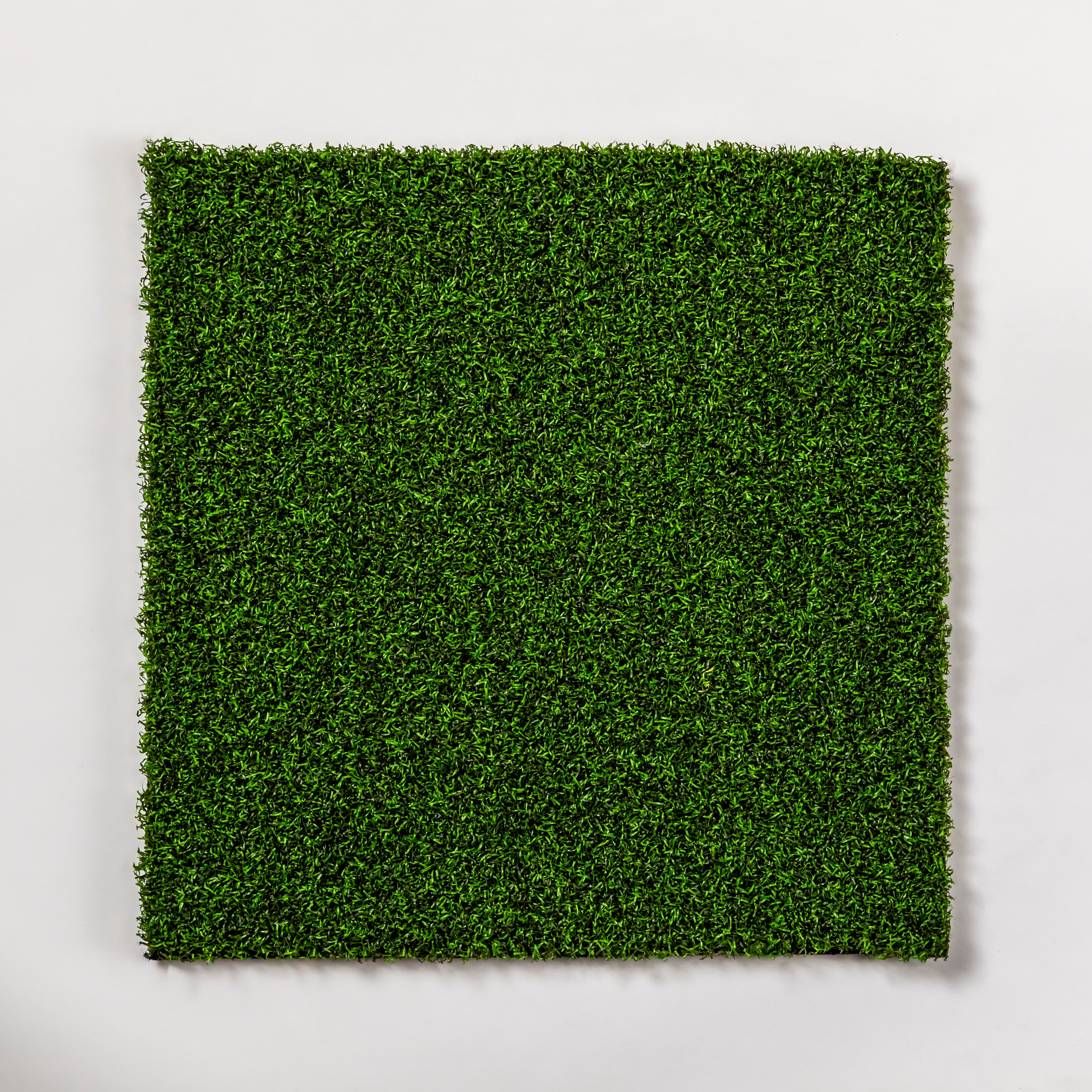 Pro Putt Green view 2