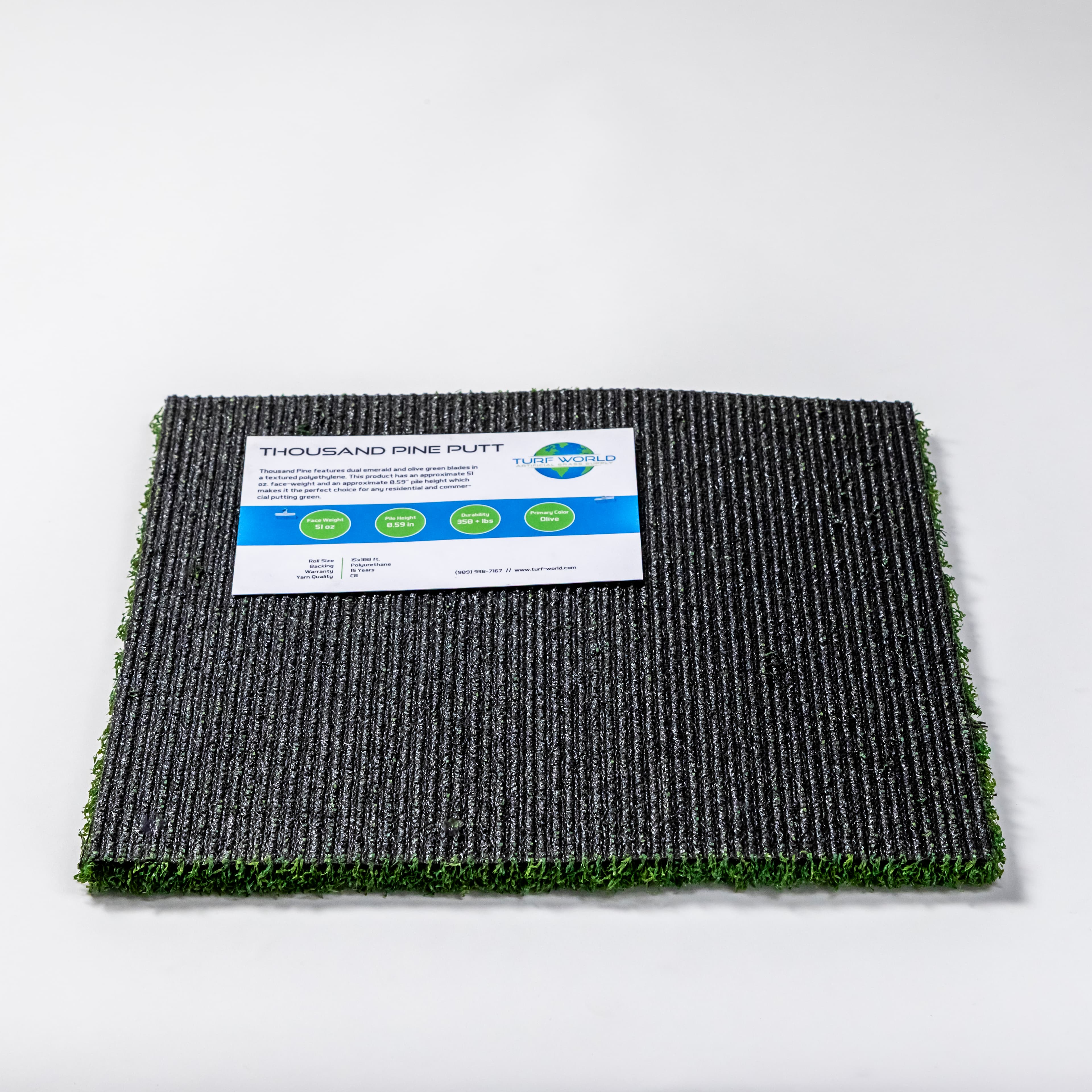 Thousand Pine Putt view 4