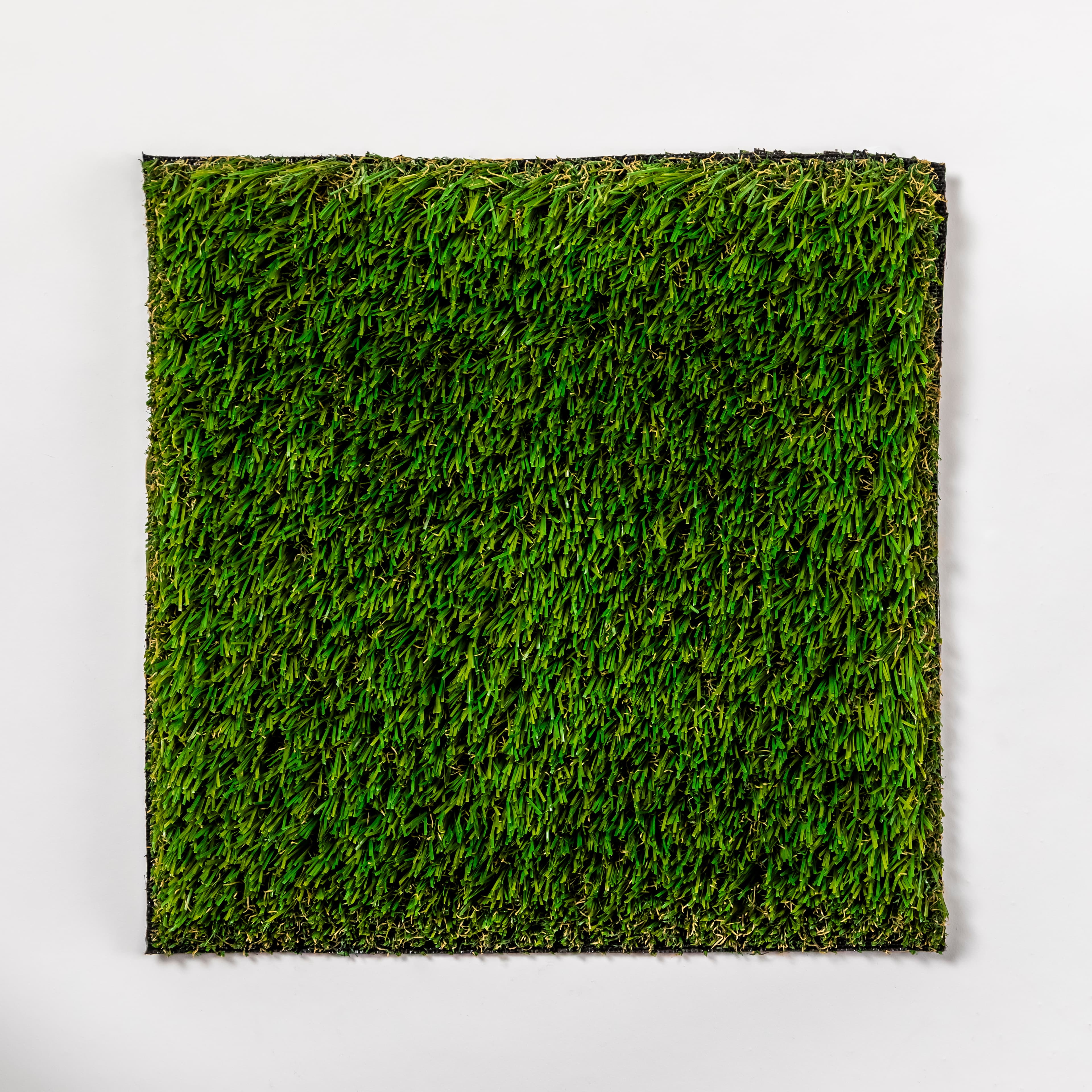 Turf World 63 view 2