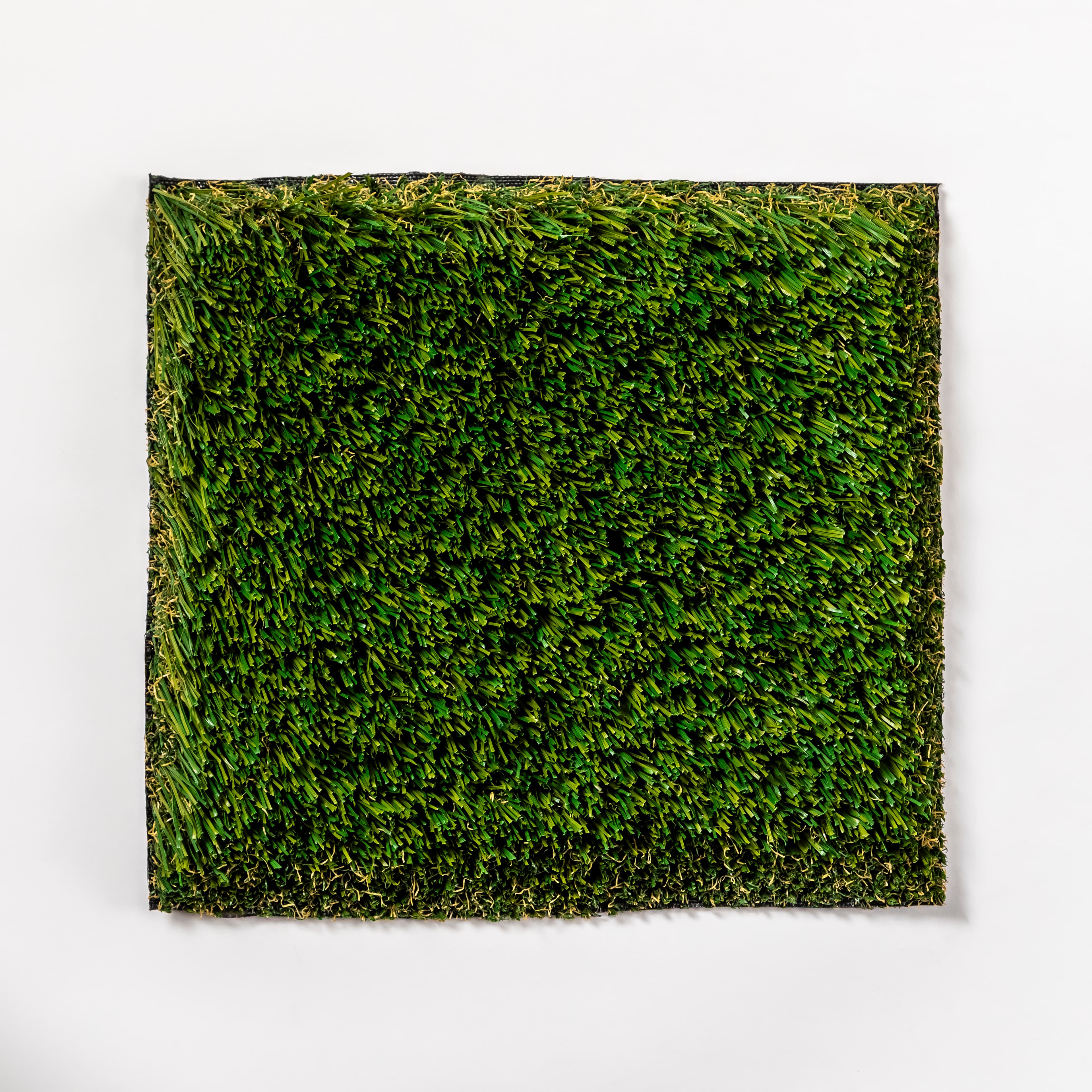 Turf World 88 view 2