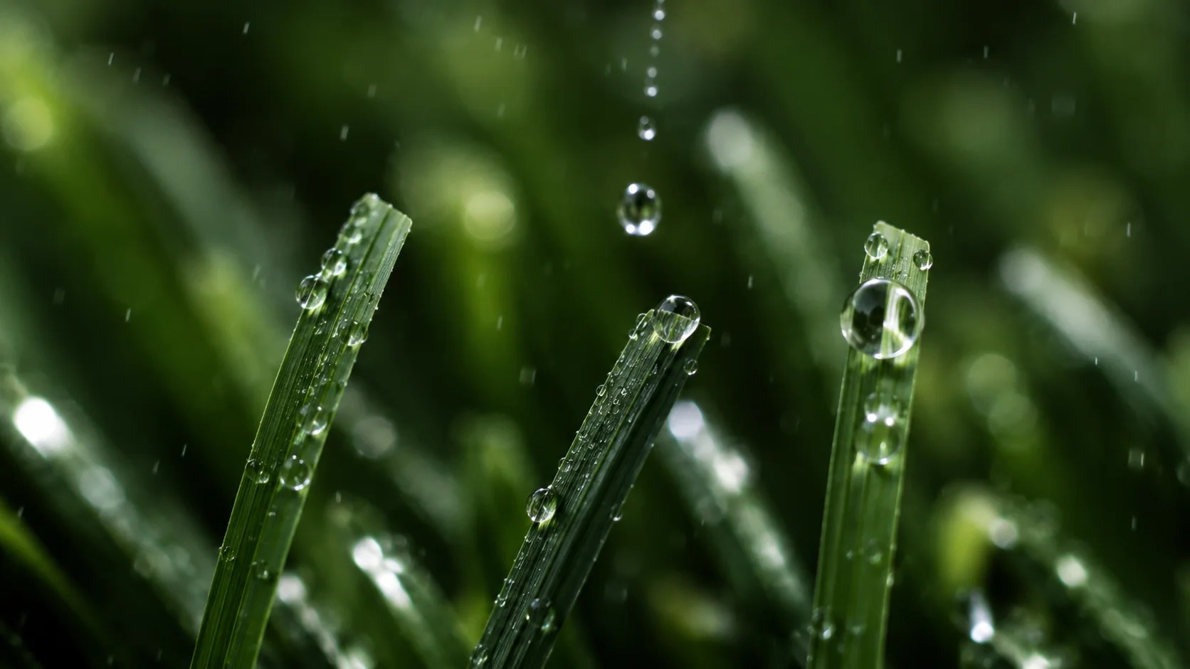 Turf Drainage 101: How Artificial Grass Handles Heavy Rain